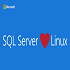 SQL Server Microsoft compatibile con Linux: tutte le indicaz