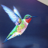 Google: Hummingbird è il nuovo algoritmo. Aggiornamento Serp