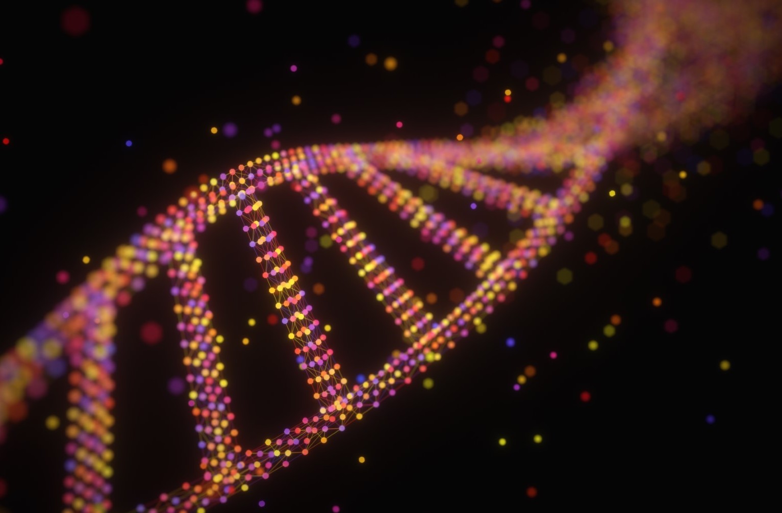 Struttura molecola DNA