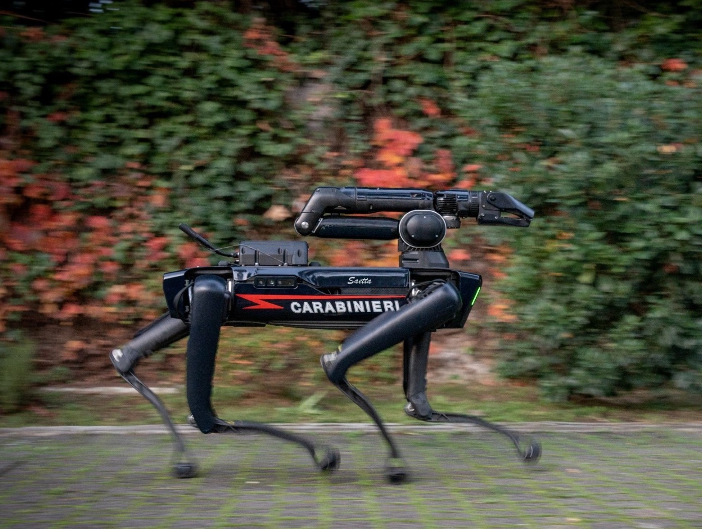 Saetta cane robot carabienieri