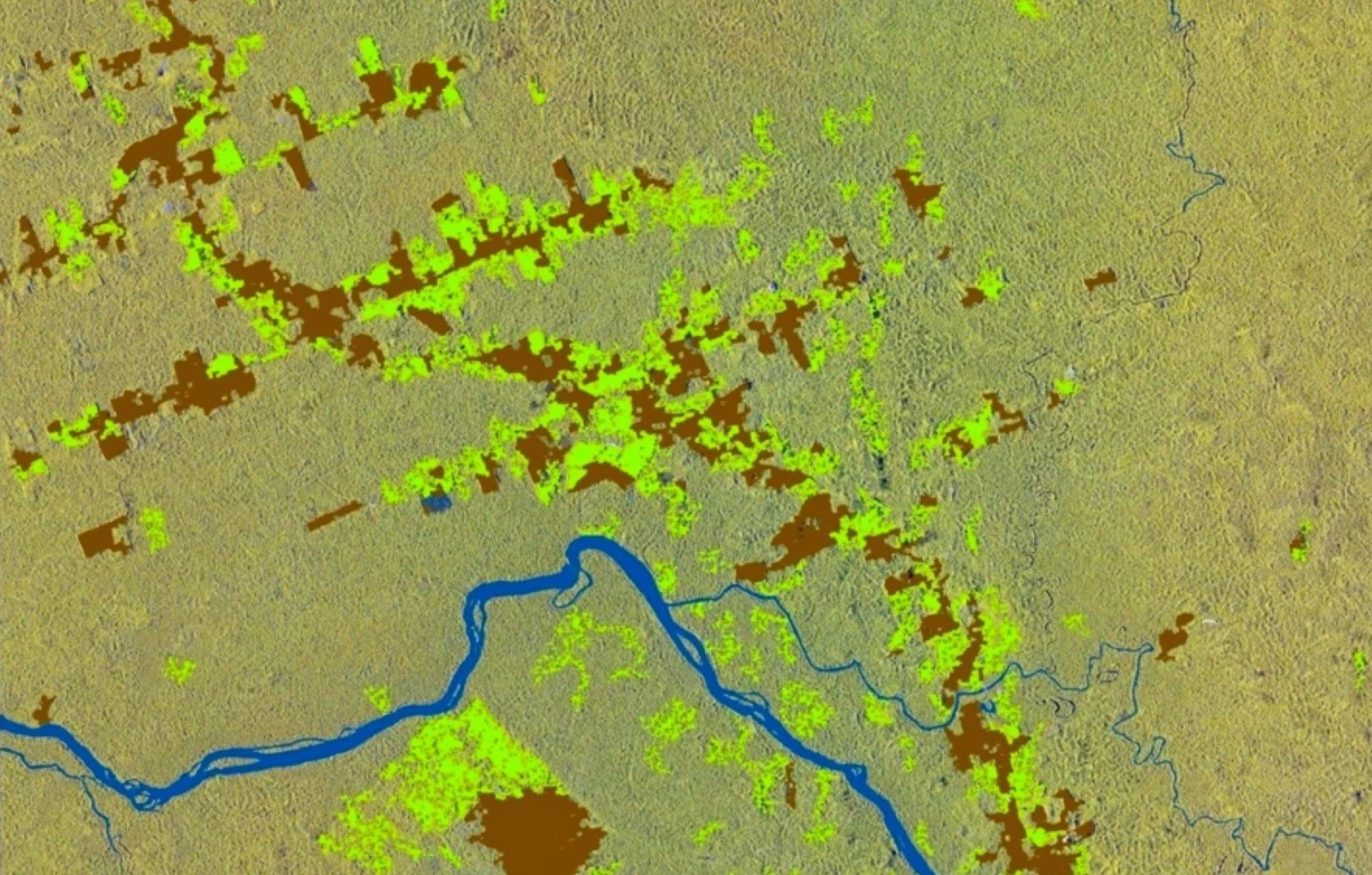 Immagine satellitare