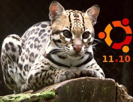 UBUNTU 11.10 ITALIANO SCARICA